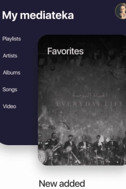 Hosting Company Layout Preview